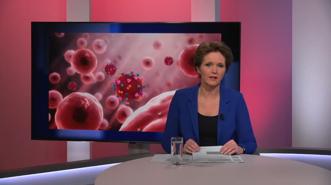 TV West Nieuws