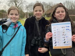 Basisschoolkinderen in Beetsterzwaag doen mee aan vogeltelling