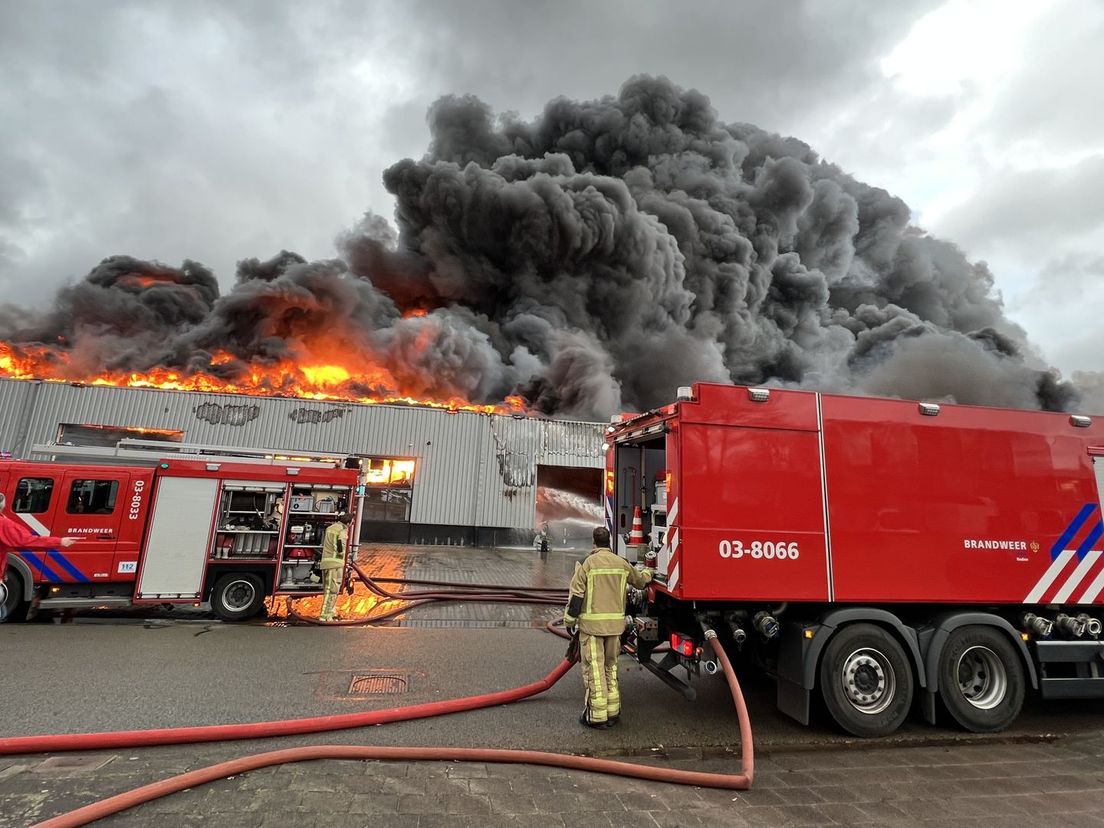 brand roden