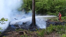 112-nieuws vrijdag 9 juni: Bosbrandje bij Westerlee • Dakbrand in Herestraat • Motorboot gestolen