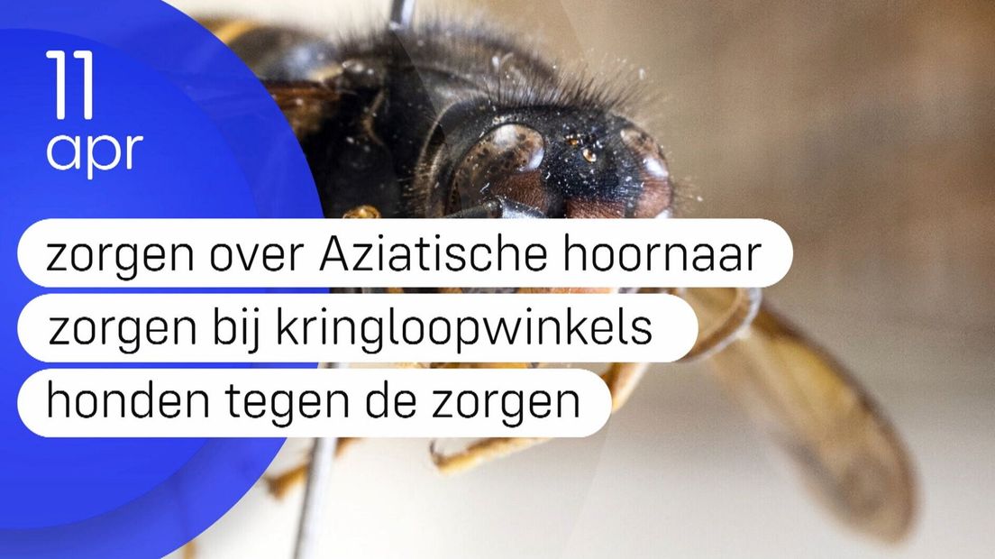 Zeeland Nu