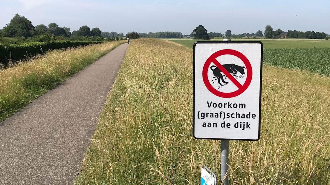 De dijken in het gebied van WDODelta zijn de afgelopen tijd vaak door muizen en honden beschadigd