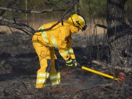 Gespecialiseerd Overijssels brandweerteam schiet te hulp bij natuurbranden in Brabant en Limburg