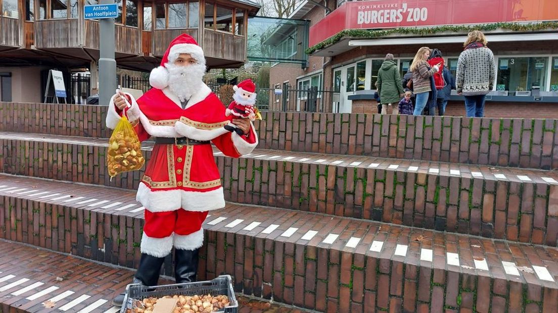 Burgers' Zoo mocht ook rekenen op de nodige tulpenbollen