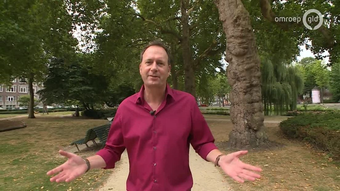Van Gelders Grijs