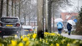 Lenteweer voorlopig nog ver weg: 'Er komt heel veel regen aan'