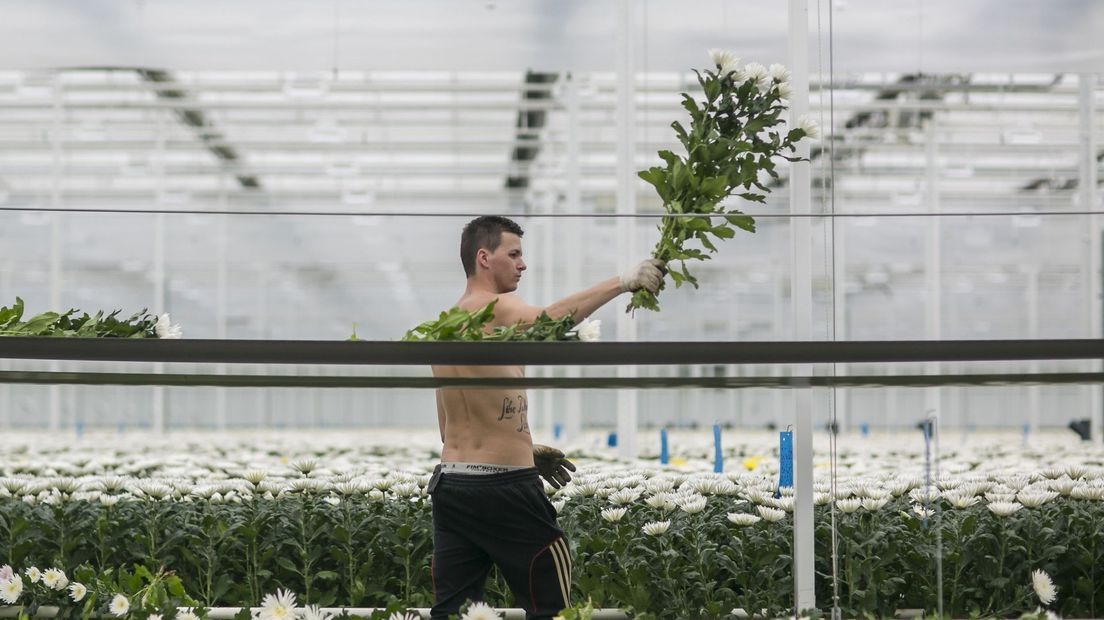 Foto ter illustratie