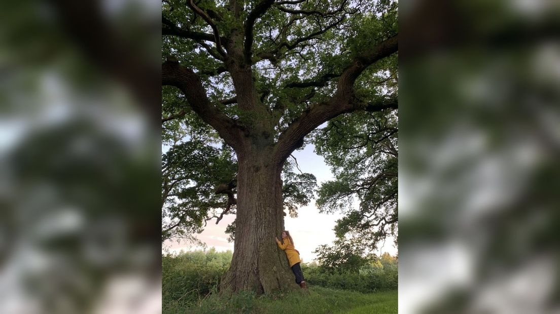 Agnes Bakker bij de boom met hoog knuffelgehalte.