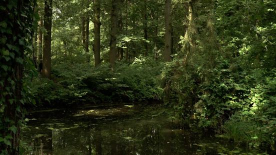 Door slim te zijn kun je de droogte bestrijden