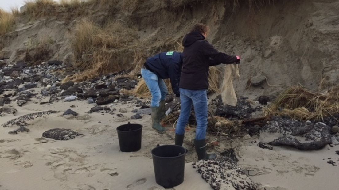 Vrijwilligers rapen plastic op het strandje bij het Topshuis