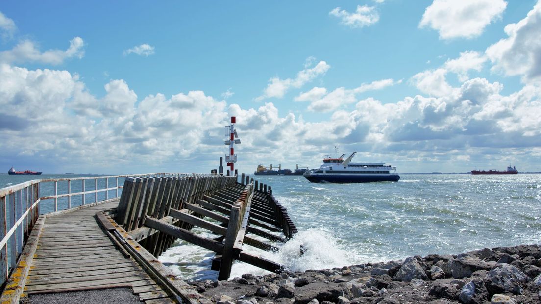 Westerscheldeferry, fietsvoetveer