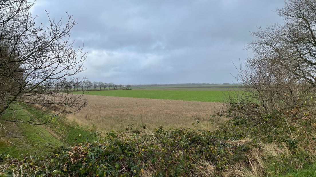 De werkgroep is bang dat het open karakter van Duurswold wordt aangetast