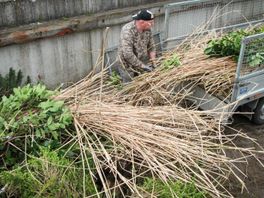 Kleine dorpen Aa en Hunze mogen twee keer jaar 'versnipperdag' voor snoeiafval organiseren