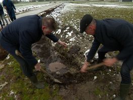 In fuorhage om de greide hinne: lekker foar de kij en goed foar it bioferskaat