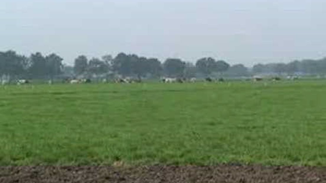 Platteland