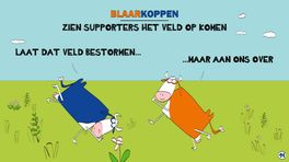 Blaarkoppen kunnen dat veel beter
