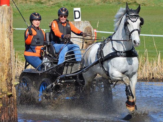 Para-menner Ingmar Veneman: 'Een paard beet m'n schouder kapot'