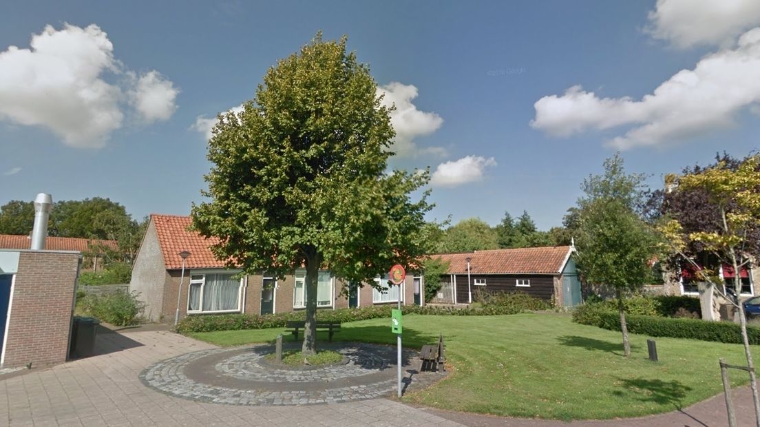 Beatrixboom bij het dorpshuis in Zonnemaire