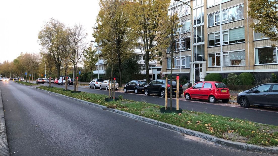 Make-over Groen van Prinstererlaan helemaal af met extra bomen en groen