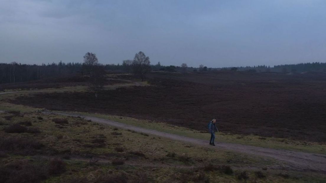 Heerde