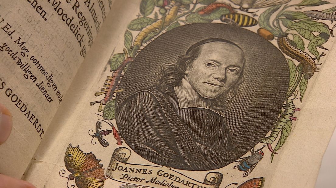 Johannes Goedaert (1617-1668), grondlegger van de entomologie