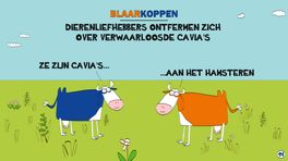 Blaarkoppen zien een actie van dierenliefhebbers