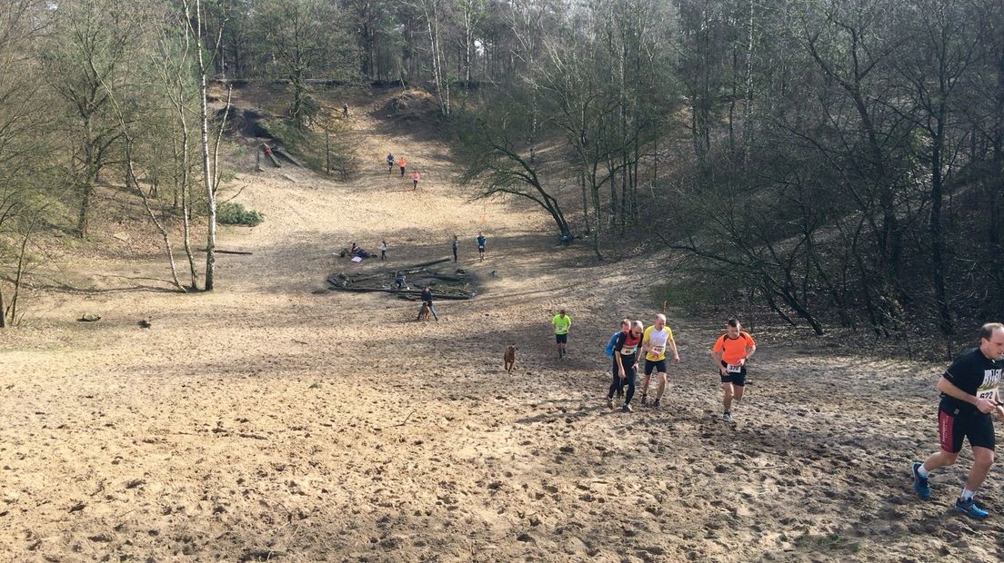 Salland Trail