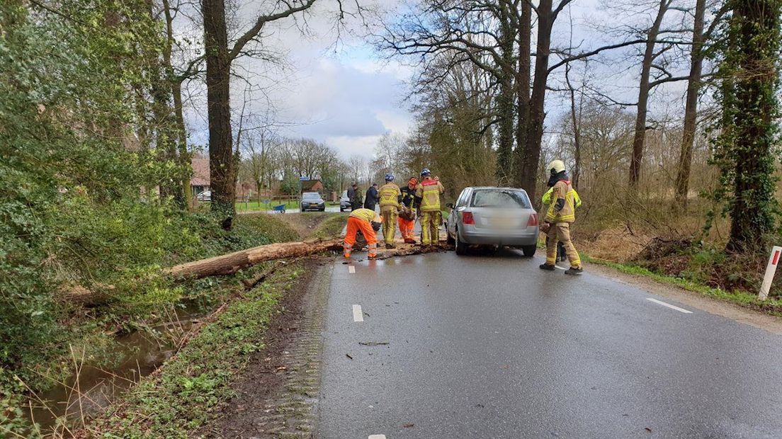 Vrouw kan net op tijd remmen voor omgevallen boom in Ambt Delden