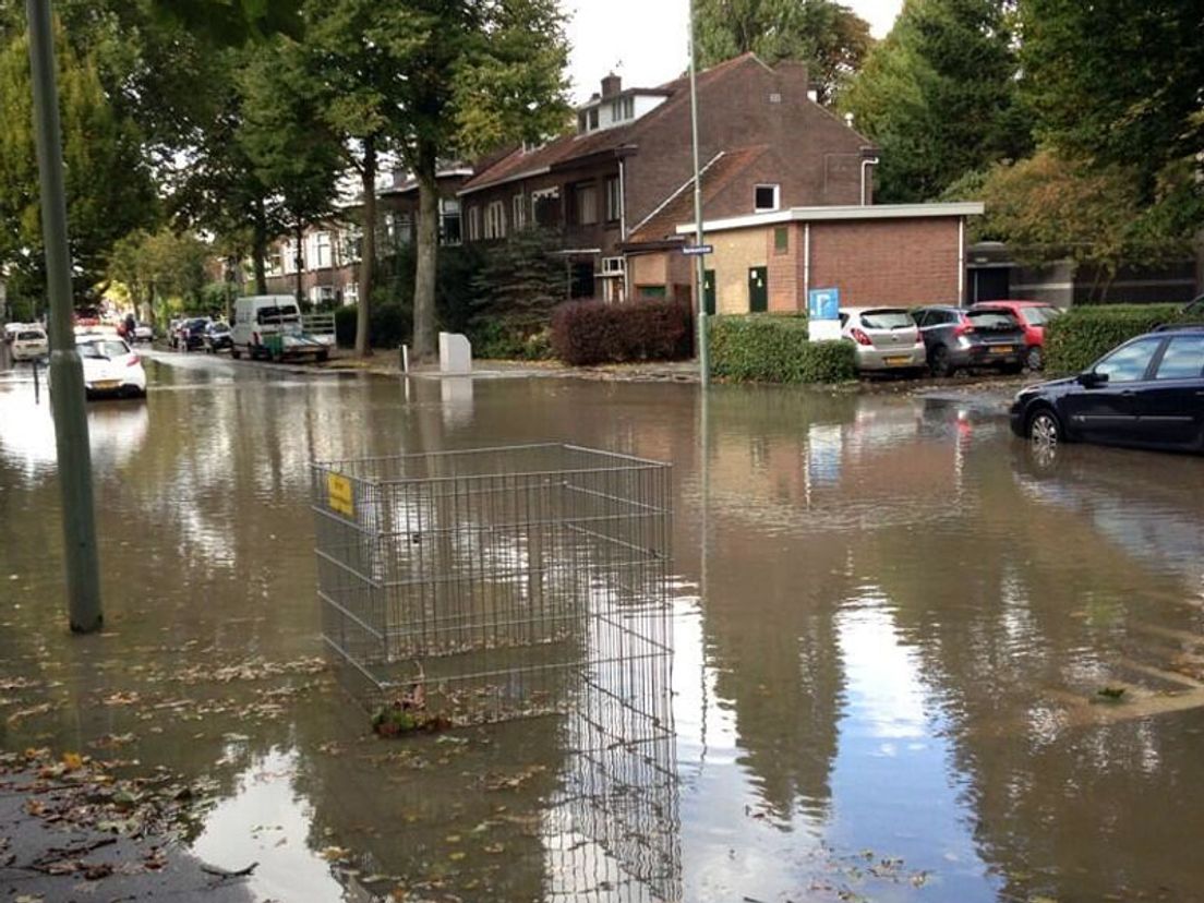 foto Timo Bevelander / Twitter