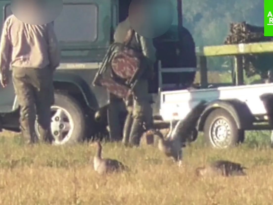 Screenshot uit de video van Animal RIghts