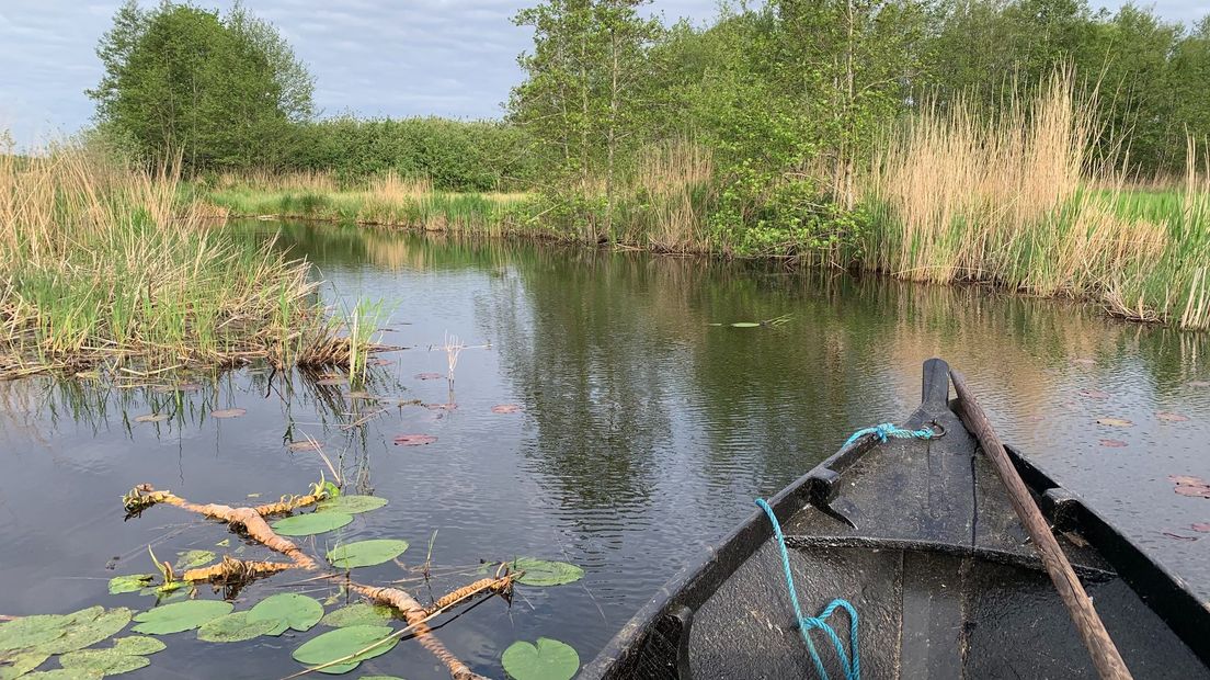 Natura2000 gebied de Wieden