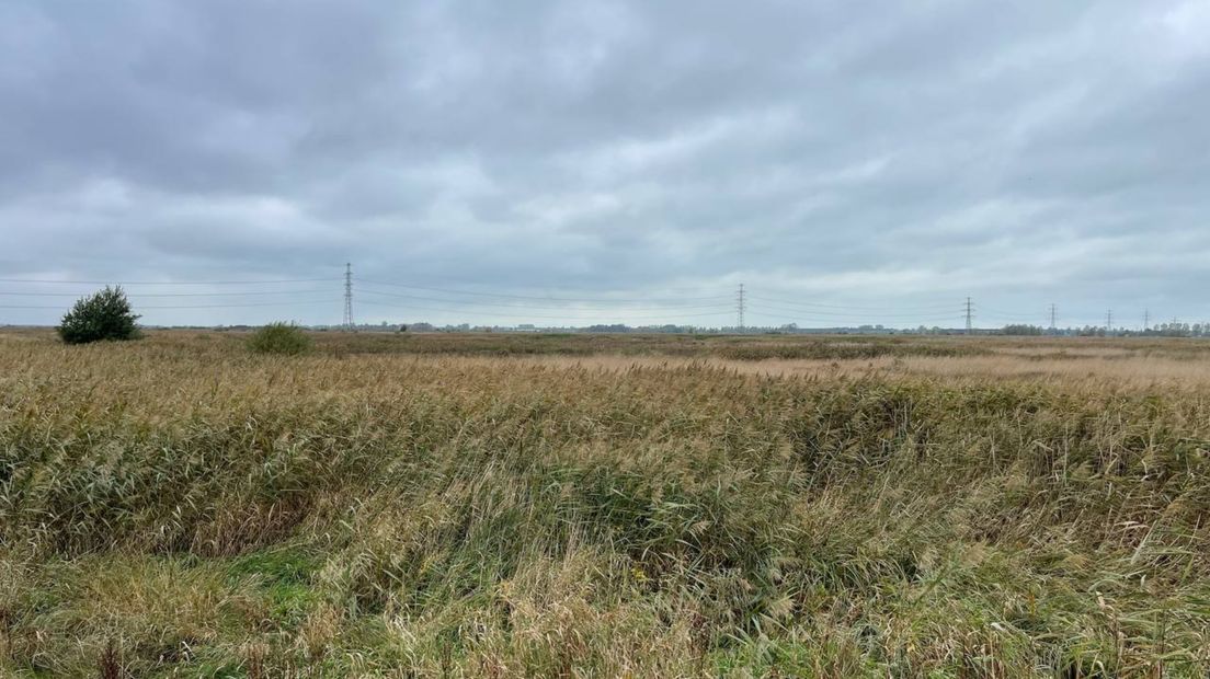 De Onlanden, waterberging en moerasgebied