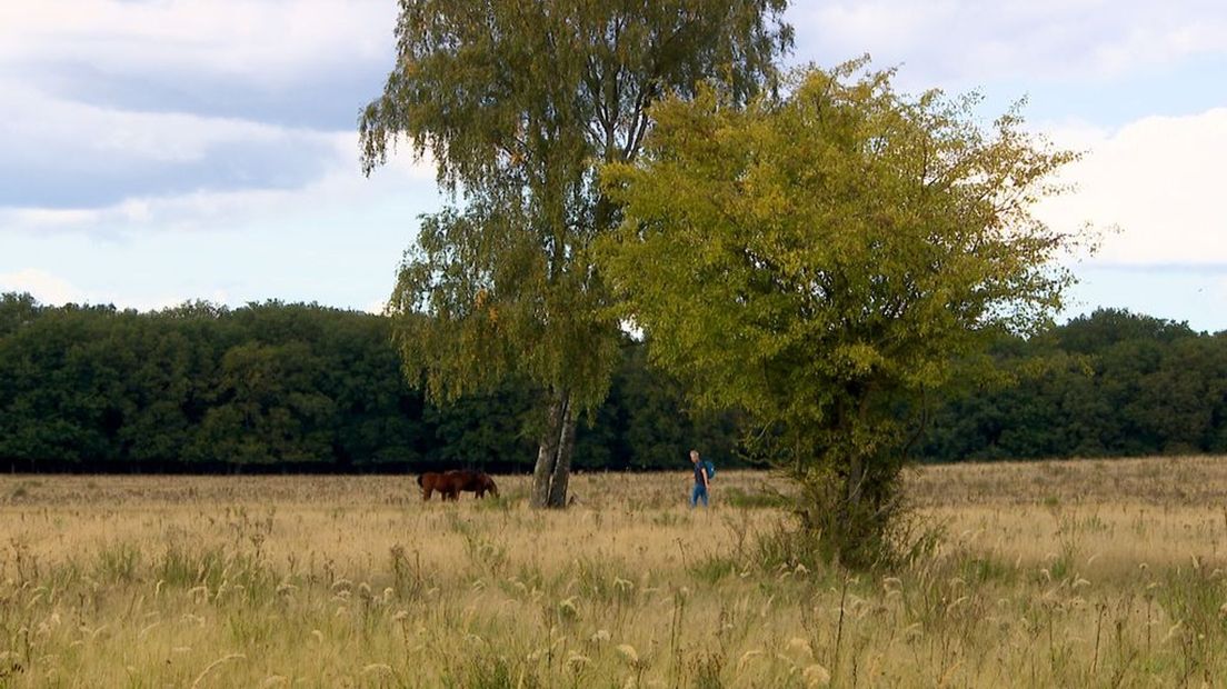 Kreelsepad in Ede