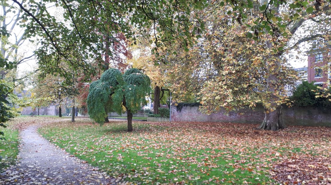 Torckpark eerste vuurwerkvrije zone?