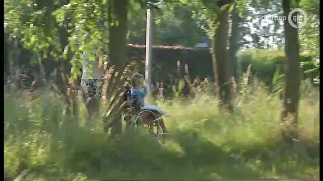 Culemborg Bijvoorbeeld