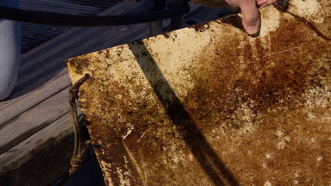 Zo ziet een plaat eruit met antifouling en de machine