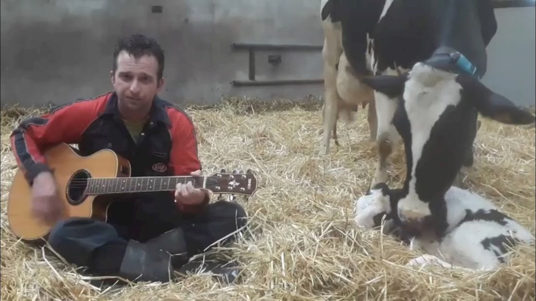 Boer Arno Meijerman uit Dijkerhoek gaat viral met lied tussen de koeien