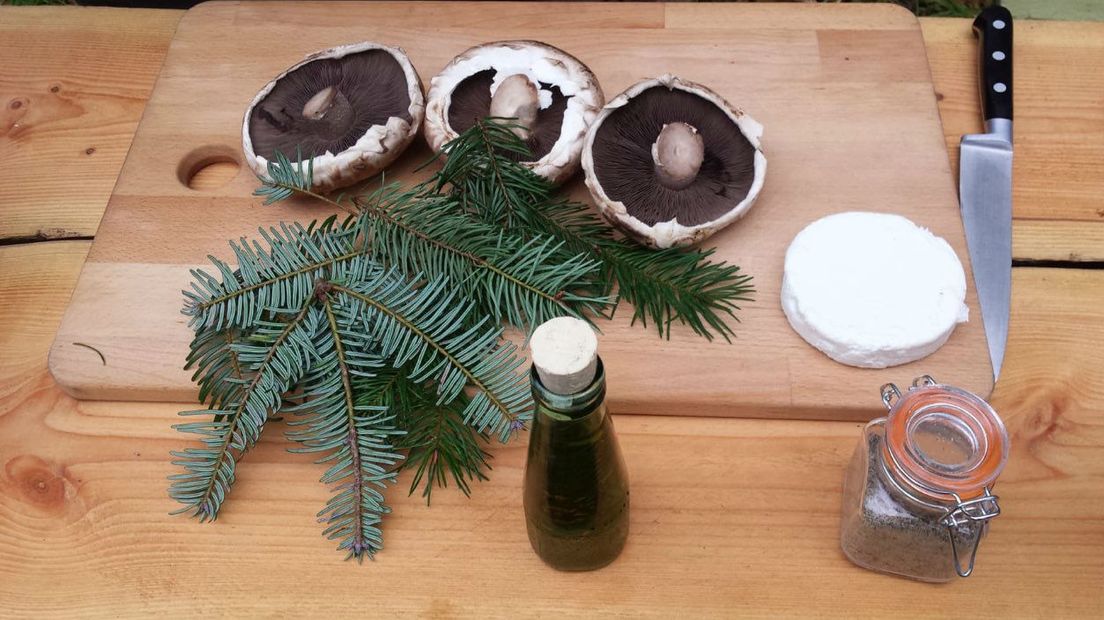 De ingrediënten voor een kerstlunch uit de natuur (Rechten: RTV Drenthe)