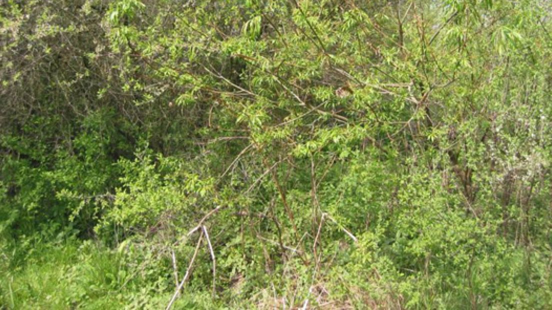 Gemeente Putten pakt groen aan