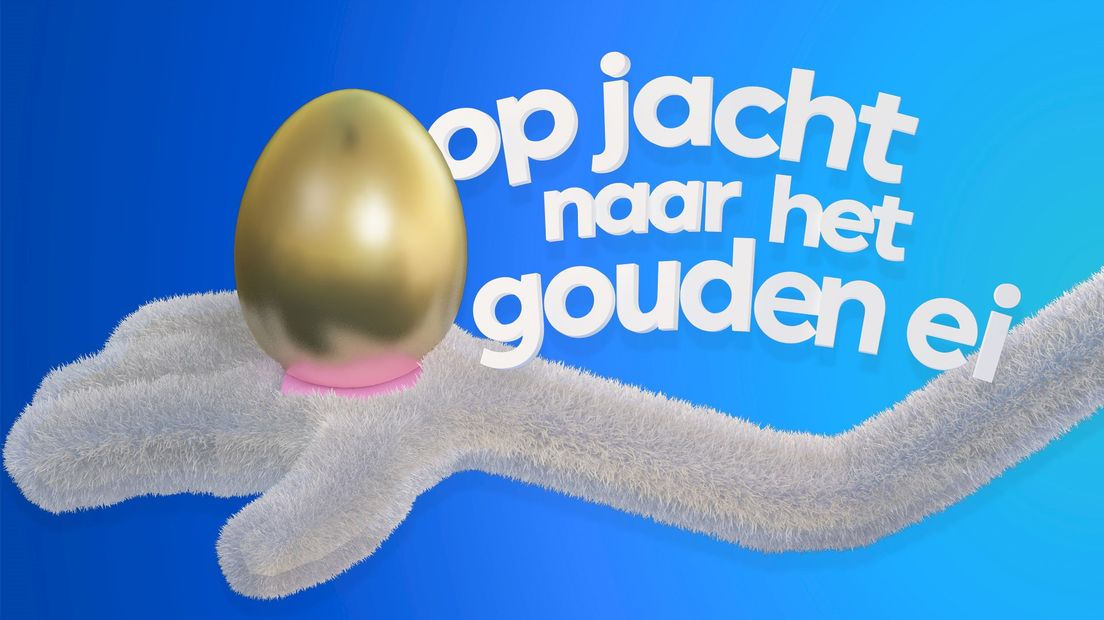 Zoek het ei