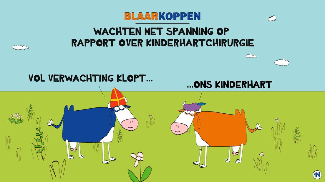 Onze blaarkoppen