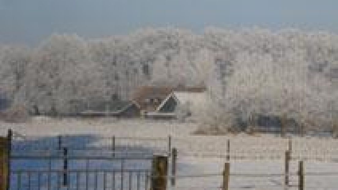 Winterse foto's uit Gelderland