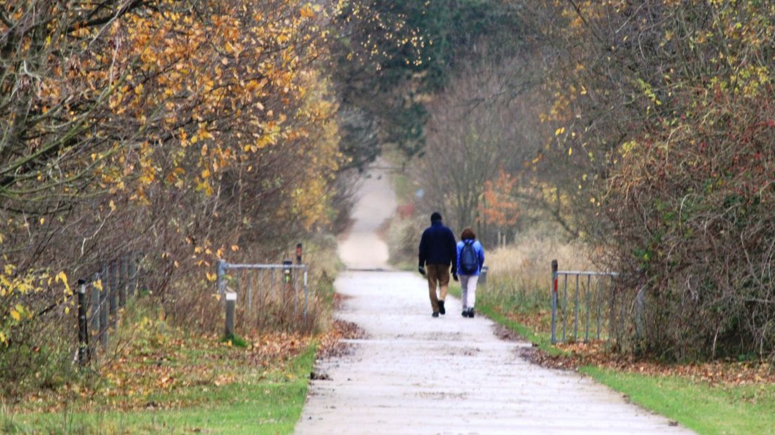 Wandelen bij Boswachterij Westenschouwen