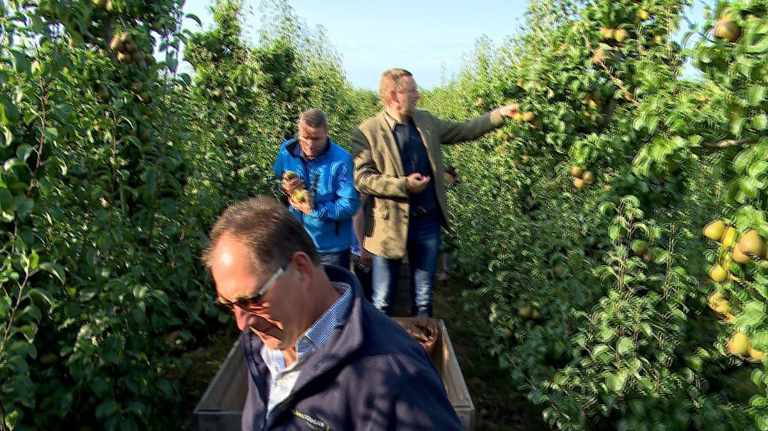 Teler Sjako Kloosterman met twee burgemeesters op zijn pluktrein