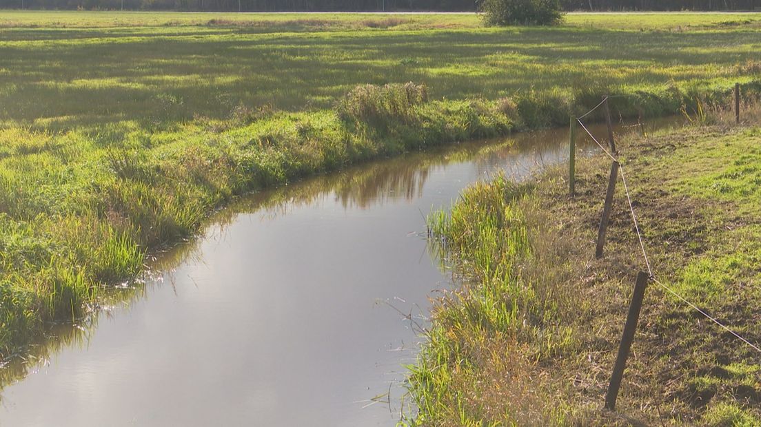 Riviertje de Reest bij Balkbrug