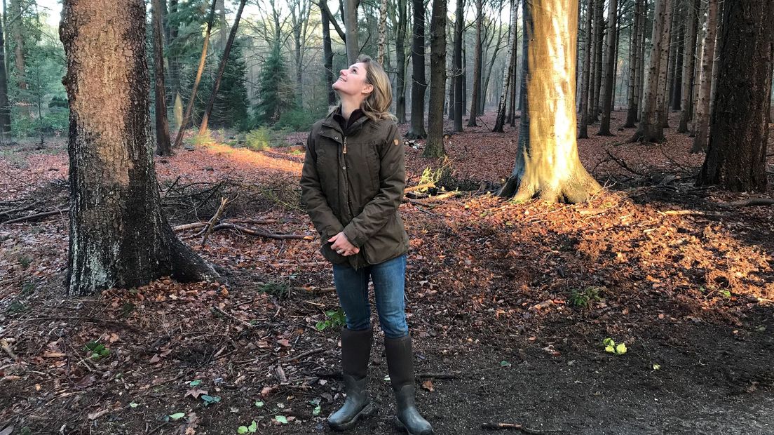 Boswachter Hanne Tersmette kijkt uit naar de zwarte specht