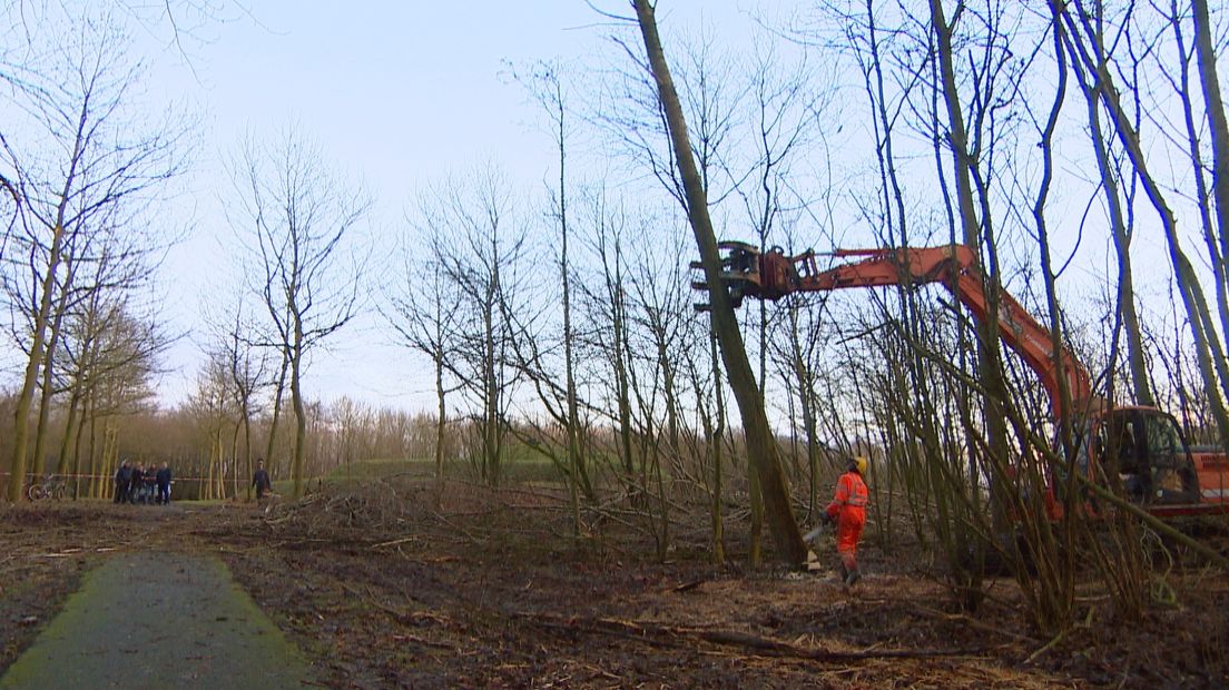 Bomenkap Sloerand kerncentrale