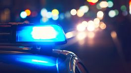 Politie lost waarschuwingsschot bij arrestatie op A73