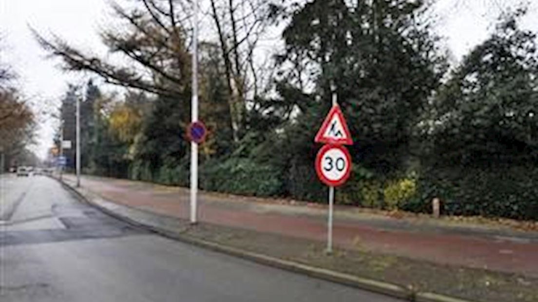 Parkweg bij het Volkspark
