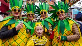 Teruglezen: Feest op carnavalsmaandag